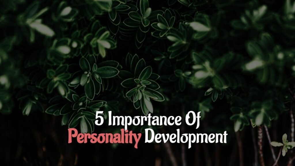 5 Importance Of Personality Development - The Victor Mind
