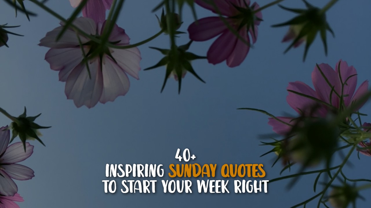 40_inspiring_sunday_quotes_to_start_your_week_right