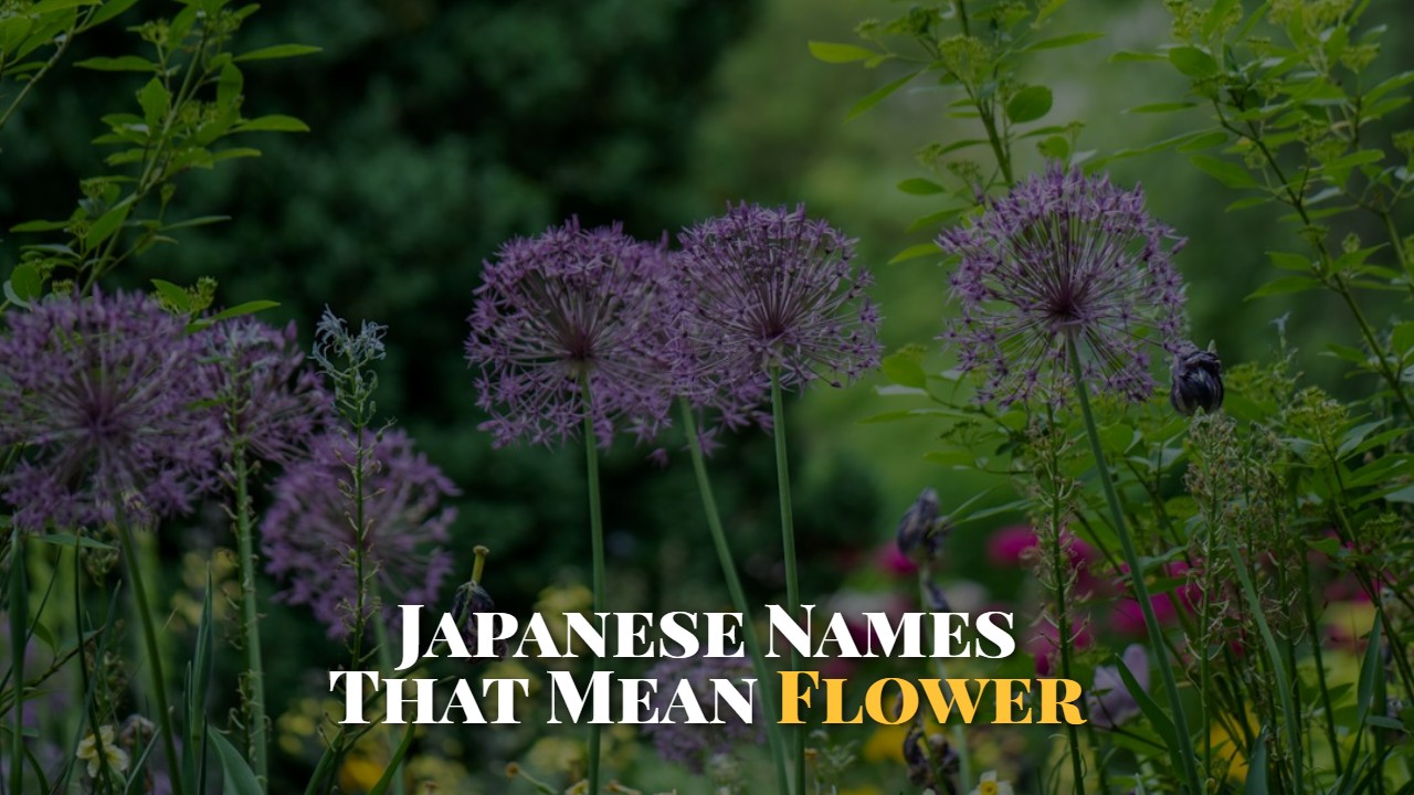 japanese_names_that_mean_flower
