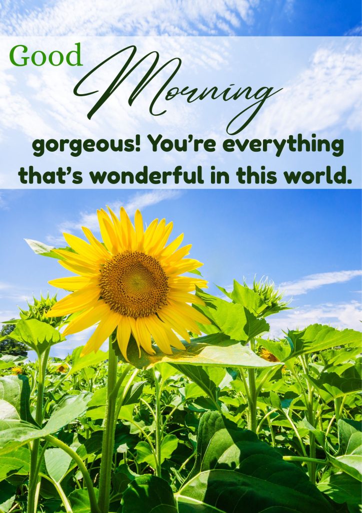 Good Morning Beautiful Quotes