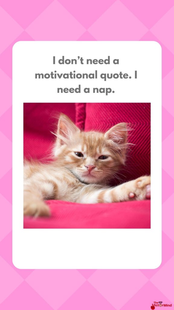 Funny Hilarious Good Morning Meme