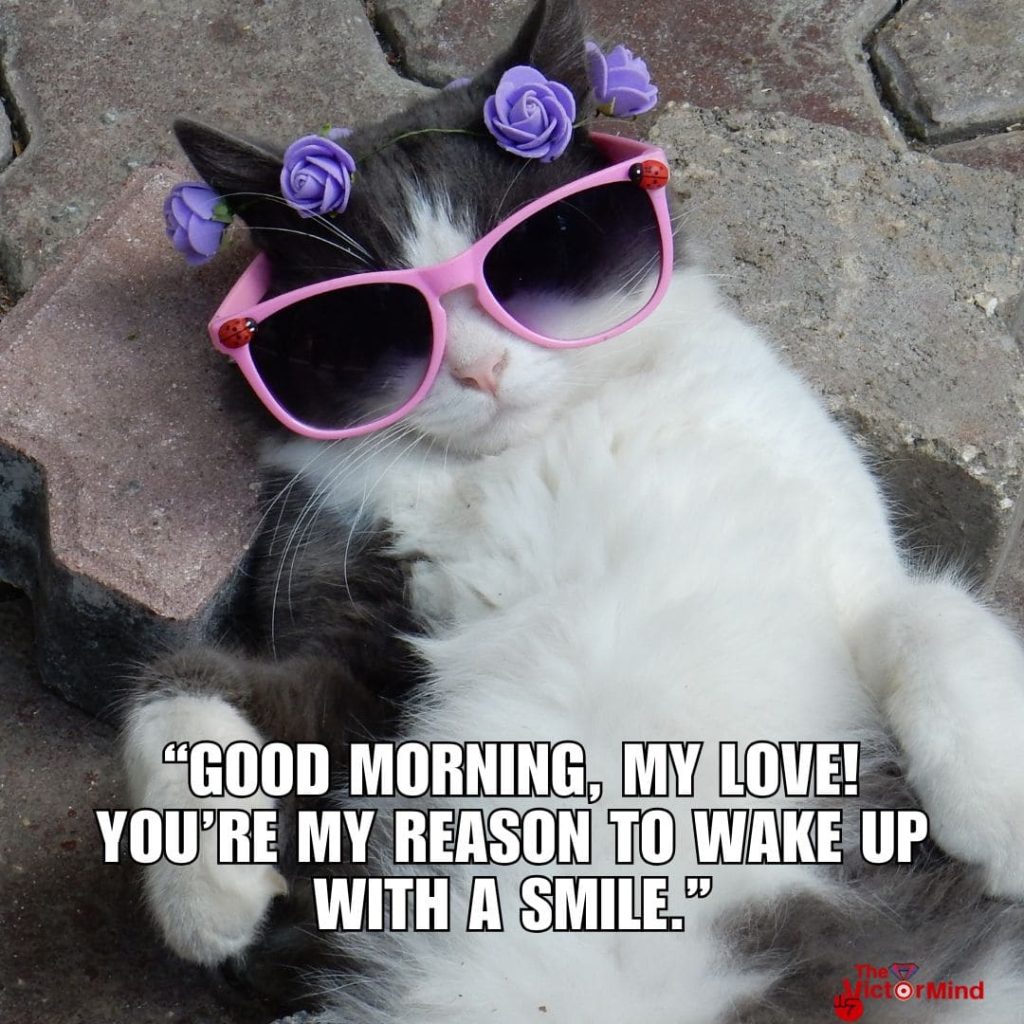 Good Morning Beautiful Memes