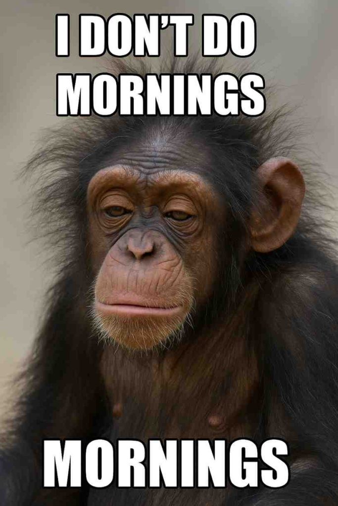 Good Morning Meme