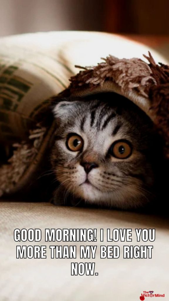 Good Morning Meme for Friends