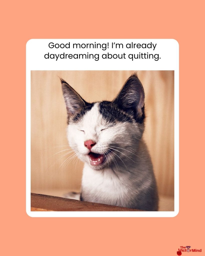 Good Morning Work Memes