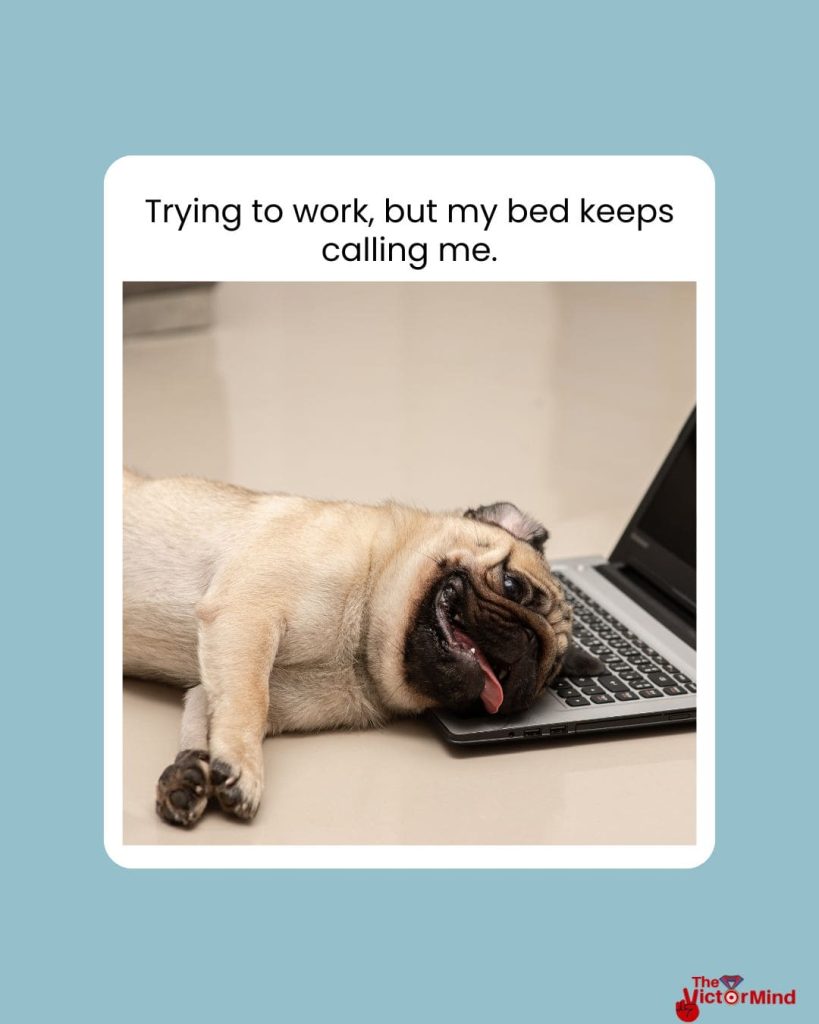 Good Morning Work Memes