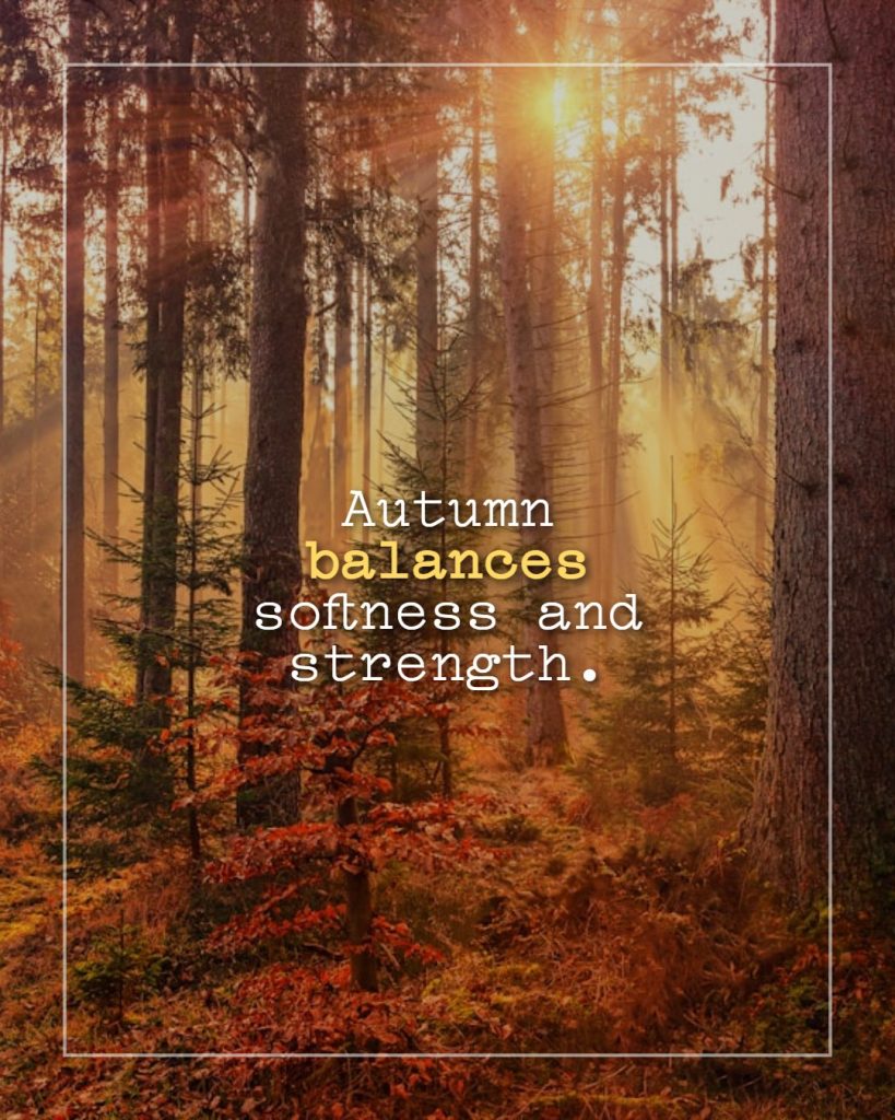 fall_sayings_that_capture_seasonal_charm